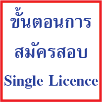 鹵͹Ѥͺ Single Licence